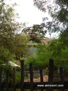 Outdoor viewing area